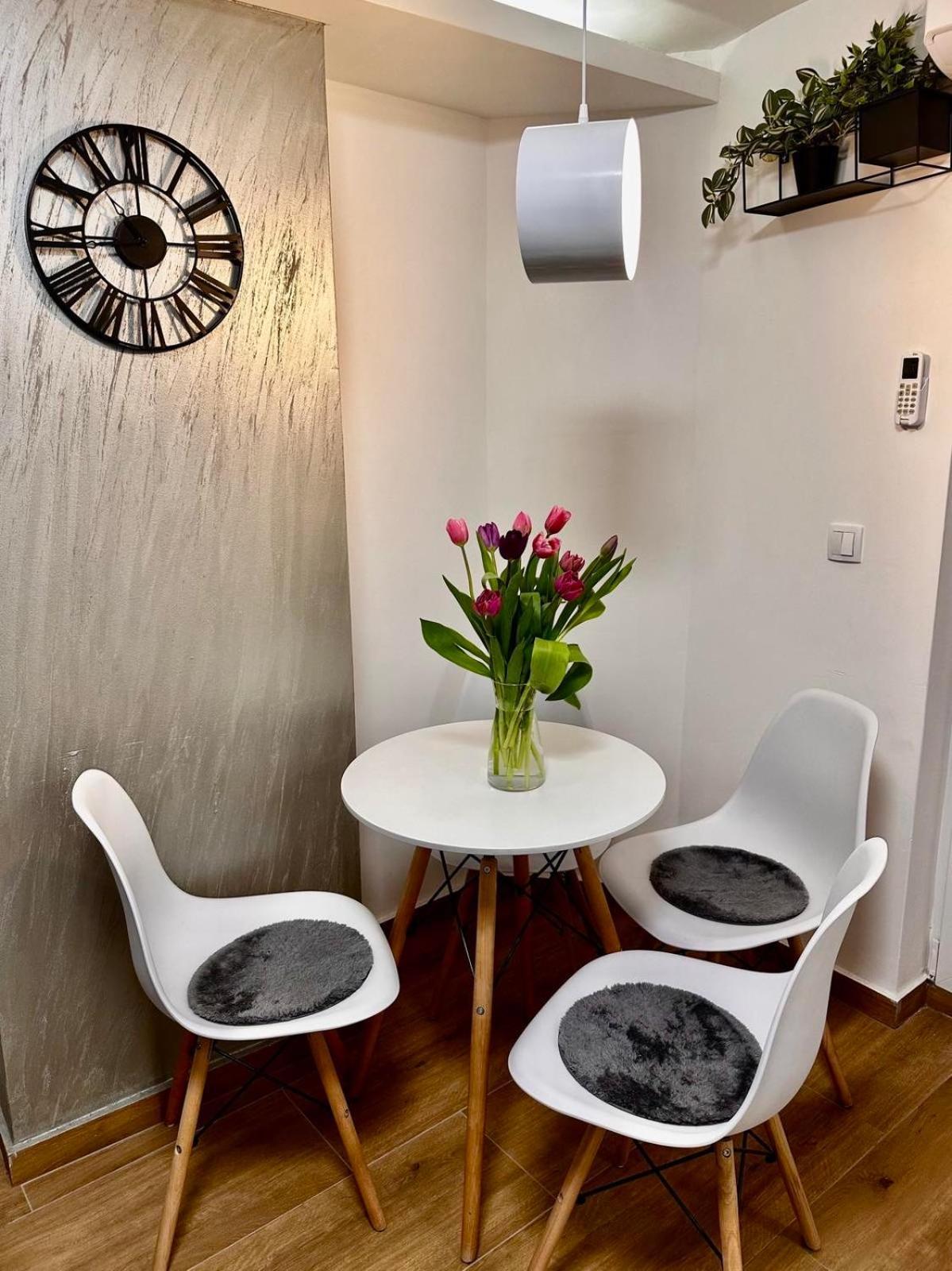 בלגרד Apartman Savamala Promenada 57 מראה חיצוני תמונה